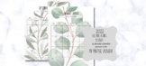 Rae Dunn botanical inspired 2022 calendar, 12 month, lined