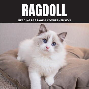 Preview of Ragdoll cat Reading Passage &Comprehension for grade 2nd, 3rd