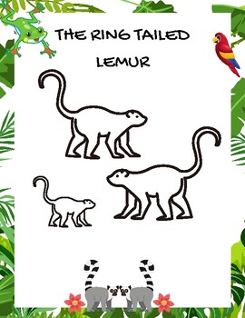 Rainforest Coloring Pages Worksheets Teaching Resources Tpt