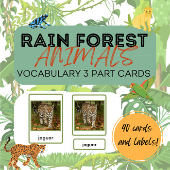 Preview of Rain Forest Animals 3 Part Cards Animals of South America Vocabulary Geography