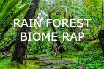 Preview of Rain Forest Biome Rap: Biology