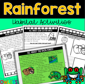 Rain Forest Habitat by Ms Avrick's Owlets | Teachers Pay Teachers