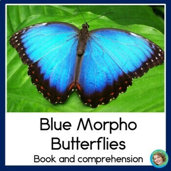 Preview of Rainforest Animals Blue Morpho Butterfly Mini Book Reading Comprehension Posters