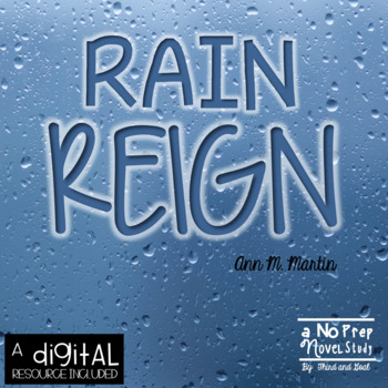 Preview of Rain Reign by Ann M. Martin