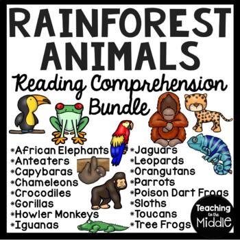 Preview of Rain forest Animals Informational Text Reading Comprehension Bundle Rainforest
