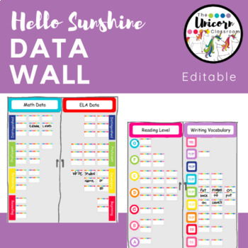 Preview of Rainbow Color Editable Data Wall