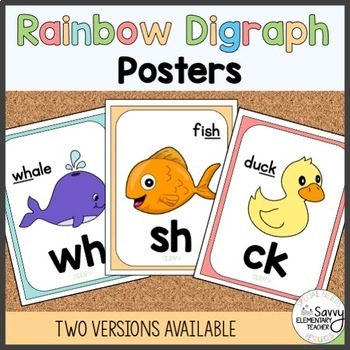 Preview of Rainbow Digraph/Double Consonant Posters tch ck wh ng ch sh th dd ff ll ss qu ph