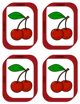 Preview of Rainbow Fruit and Veggie Activity Cards