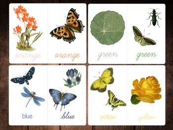 Preview of Rainbow Color-Word Flashcards, Vintage Garden Life Images, ROYGBIV, print/script