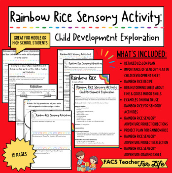 Preview of Rainbow Rice Sensory Activity- Child Development, FACS, FCS, High School