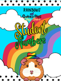 Rainbow and Guinea Pig Class Numbers