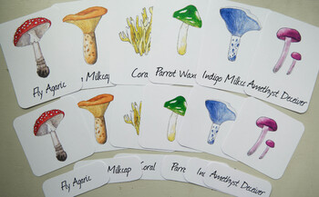 Primary Rainbow Mushroom Bundle & Save