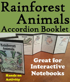 Rainforest Animals Activity