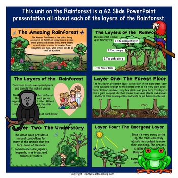 Rainforest PowerPoint by Heart 2 Heart Teaching | TpT