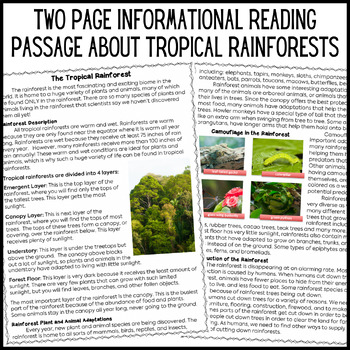 rainforest reading comprehension and differentiated questions tpt