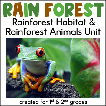 Preview of Rainforest Activities & Amazon Rainforest Animals and Their Habitat