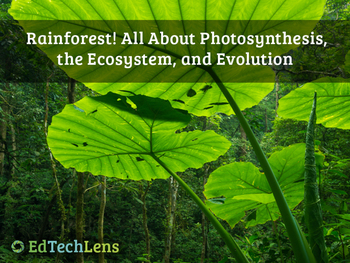 Preview of Layers, Light, Life Cycles, and Traits in a Rainforest Ecosystem – Unit eBook