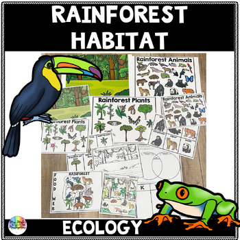 Preview of Rainforest Animal Habitat and Ecosystem | Reading and Science Ecology