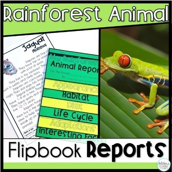 Preview of Rainforest Animal Research Activities, Nonfiction Reading Comprehension Passages