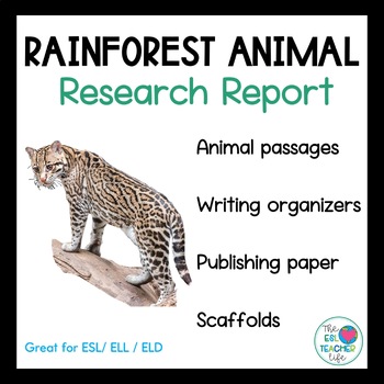 Preview of Rainforest Animals Informational Research and Writing Activities for ESL ELL ELD