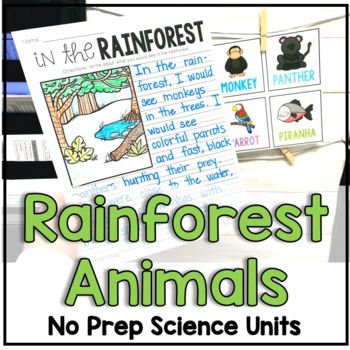 Rainforest Animals by Kristen Sullins | TPT