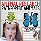 Rainforest Animal Report Templates Research Project and Crowns
