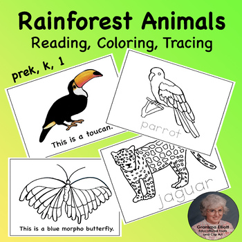 Rainforest Animals Coloring Teaching Resources | TPT