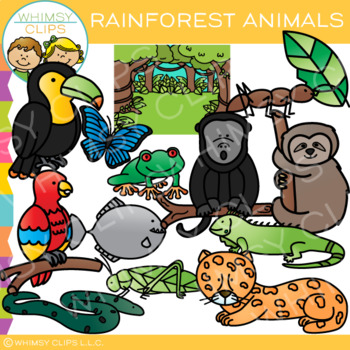 Rainforest Animals Clip Art by Whimsy Clips | Teachers Pay Teachers