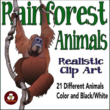 rainforest animal clipart black and white
