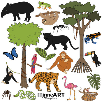 Rainforest Animals Clip Art by MinneArt Graphics | TPT