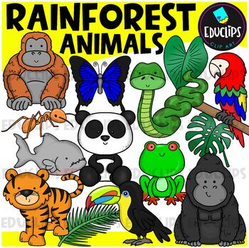 Rainforest Animals Clip Art Bundle {Educlips Clipart} by Educlips