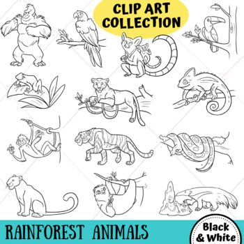 Rainforest Animals Clip Art Collection (BLACK AND WHITE ONLY) by  KeepinItKawaii