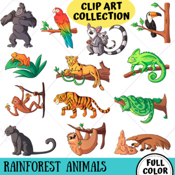 Rainforest Animals Clip Art Collection (FULL COLOR ONLY) by KeepinItKawaii