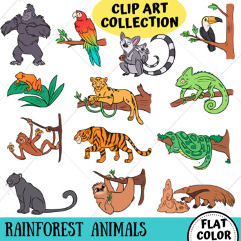Rainforest Animals Clip Art Collection (FLAT COLOR ONLY) by KeepinItKawaii