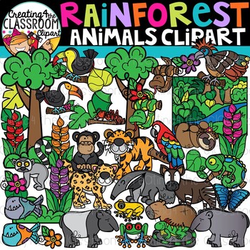 Preview of Rainforest Animals Clipart {Rainforest Clipart}
