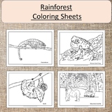 Rainforest Animals Coloring Sheets Pages Art Gorilla Frog Sloth