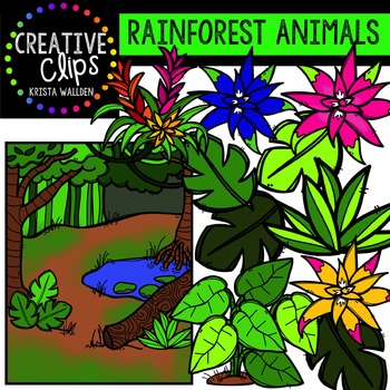 Rainforest Animals Clipart Creative Clips Clipart | TpT