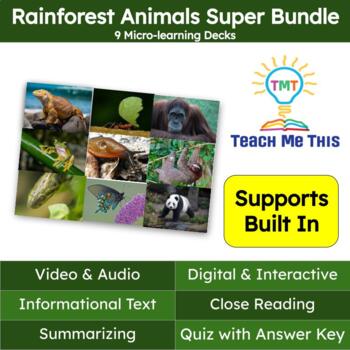 Preview of Rainforest Animals Informational Text Reading Passage & Activities Super Bundle