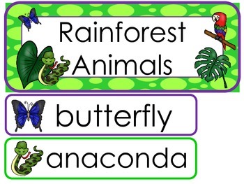 Preview of Rainforest Animals Word Wall Weekly Theme Bulletin Board Labels.