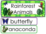 Rainforest Animals Word Wall Weekly Theme Bulletin Board Labels.