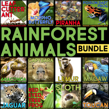 Preview of Rainforest Animals - Nonfiction Animal Research, Reading Passages, Comprehension