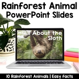 Rainforest Animals PowerPoints | Facts | Slides