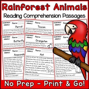 Rainforest Animals Reading Comprehension Passages and Questions | TpT