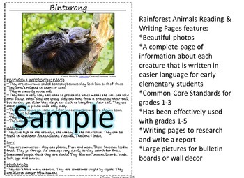 Rainforest Animals Research Articles Bundle for Informational Writing  Reports