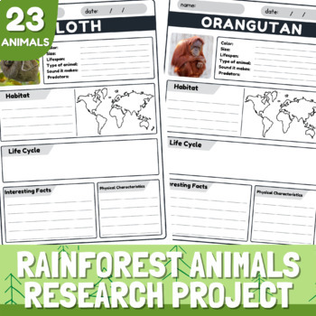 Rainforest Animals Research Project Templates | Rainforest Animal Report