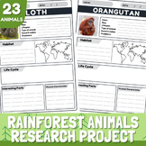Rainforest Animals Research Project Templates | Rainforest