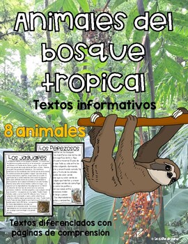 Preview of Rainforest Animals- Spanish/ Animales del Bosque Tropical