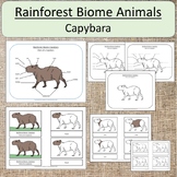 Rainforest Biome Animal: Capybara