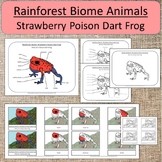Rainforest Biome Animal: Strawberry Poison Dart Frog