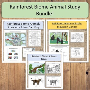 Rainforest Biome Animal Study Bundle Geography science study montessori